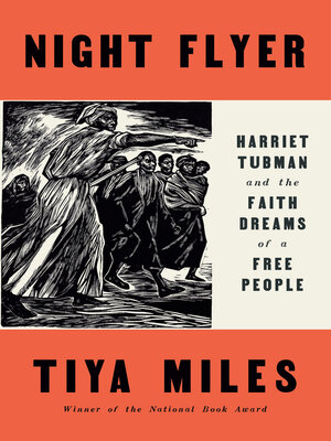 cover image of Night Flyer